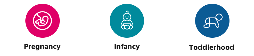 Circles with icons representing a baby in the womb for the pregnancy stage, a baby for the infancy stage